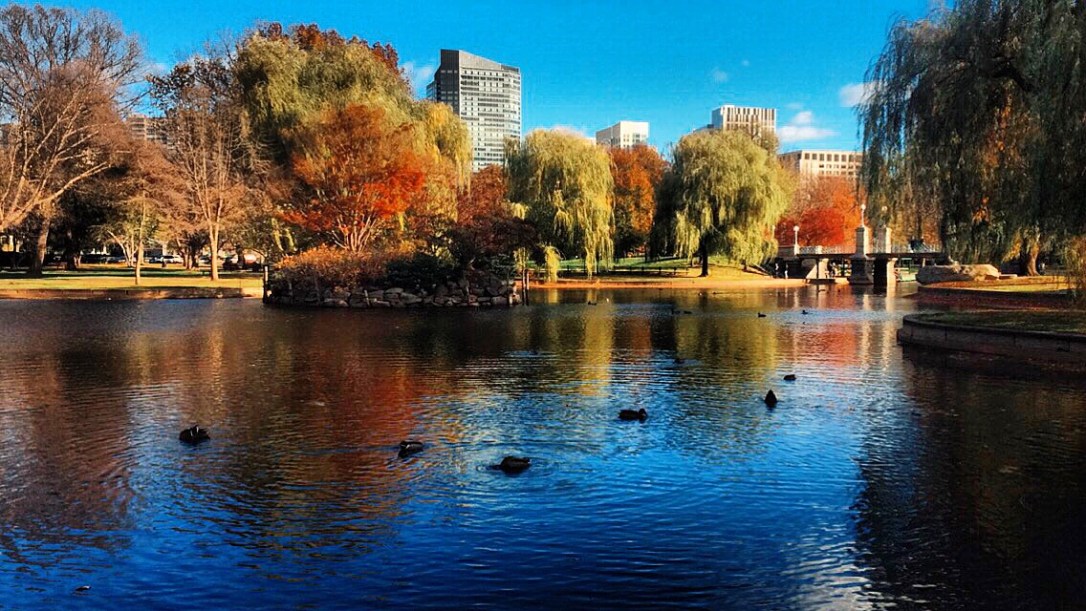 Processed with VSCOcam with kk1 preset