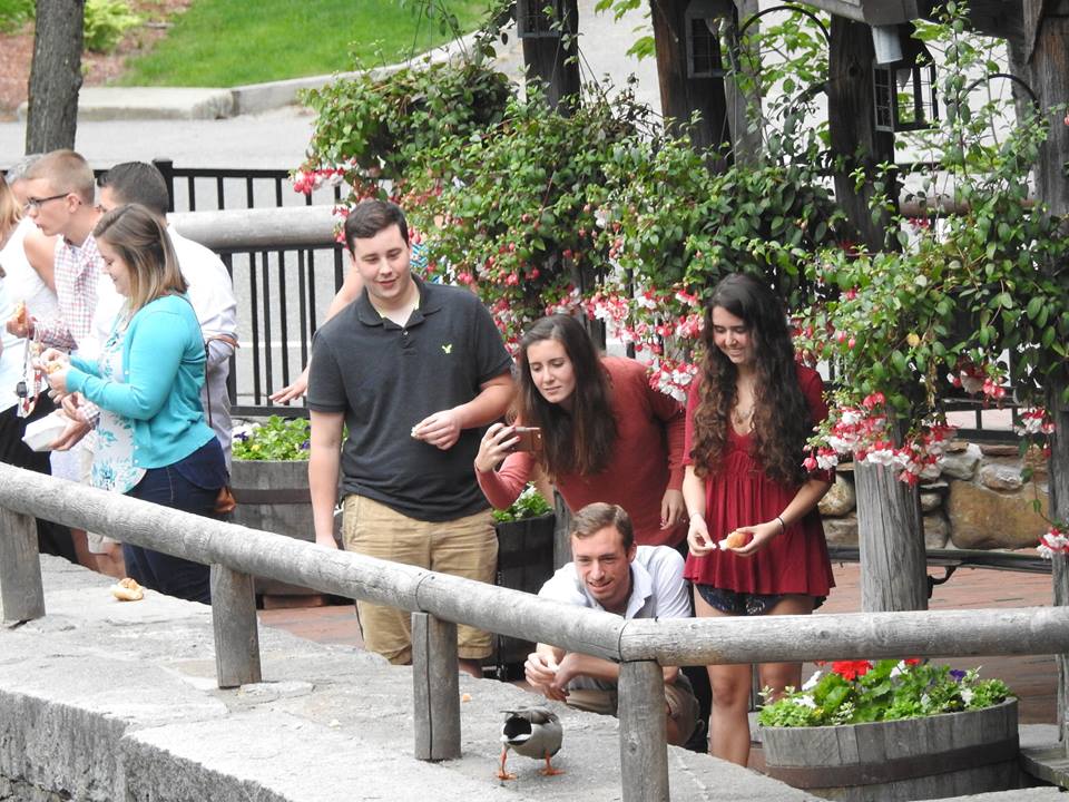 13312813_1219743818059615_2239206419815453612_n