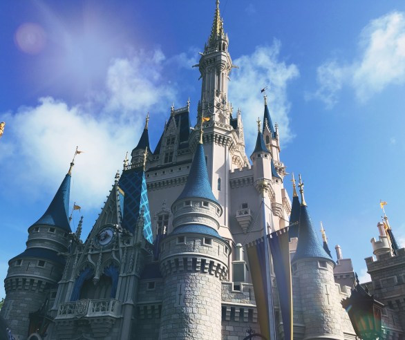 Processed with Rookie Cam