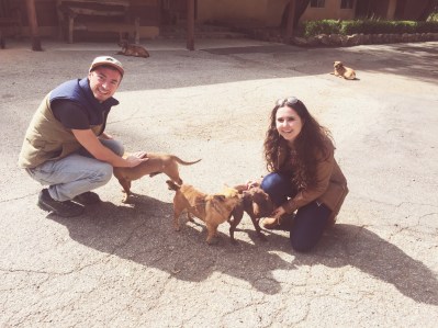 Processed with Rookie Cam