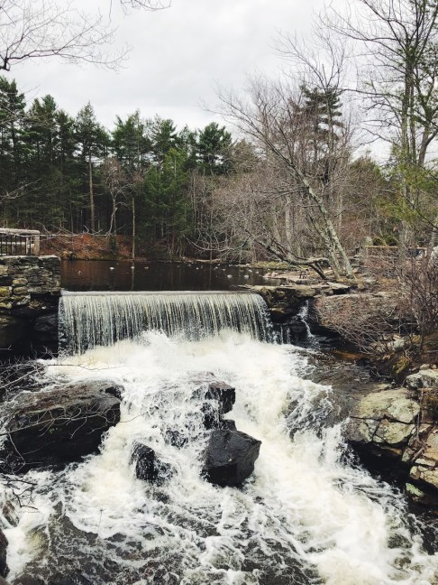 Processed with VSCO with f2 preset